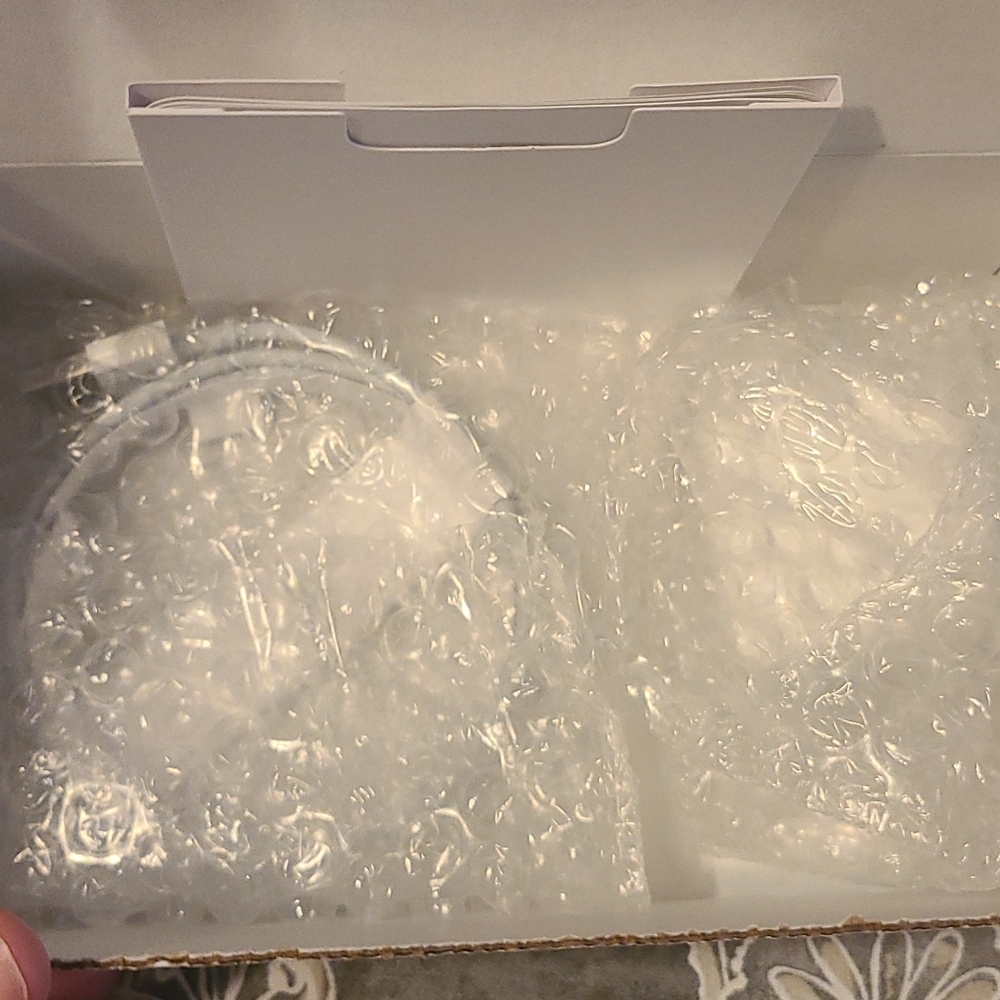 Apple  ear buds/airpods. Mint condition.